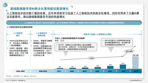 《德勤咨詢 人工智能基礎(chǔ)數(shù)據(jù)服務(wù)與軟件開發(fā)白皮書》——構(gòu)筑智能時(shí)代的基石